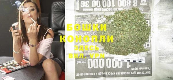 тгк Козельск
