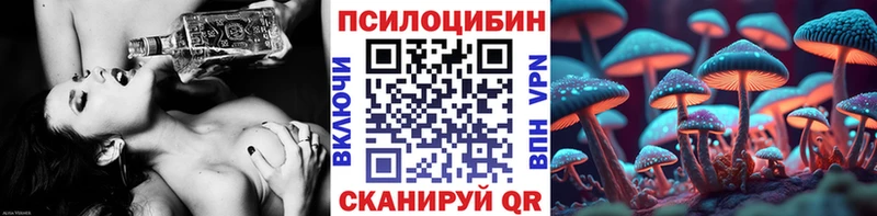 цены Кондрово Галлюциногенные грибы MAGIC MUSHROOMS